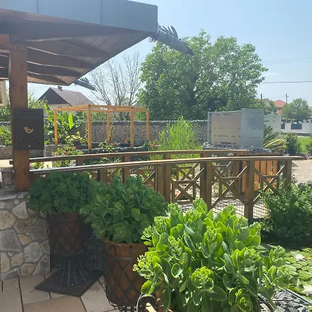 Oda ve Kahvaltı Oazis Panzio 3*