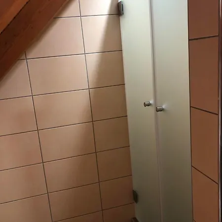 Oda ve Kahvaltı Oazis Panzio 3*