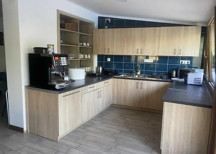 Oazis Panzio גיינסדיאס