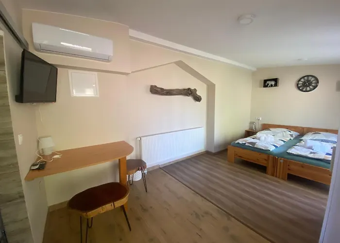 לינה וארוחת בוקר Oazis Panzio גיינסדיאס